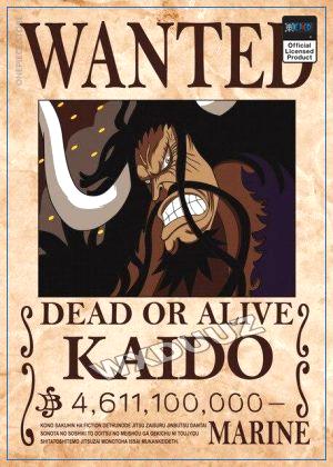 One Piece Wanted Poster  Kaido Bounty OP1505 21cm X 30cme Official One Piece Merch