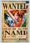 One Piece Wanted Poster  Nami First Bounty OP1505 30cmX21cm Official One Piece Merch