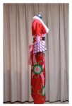 VEVEFHUANG One Piece Boa Hancock cosplay costume Boa Hancock One Piece cosplay costume Halloween costumes for women adult unifor
