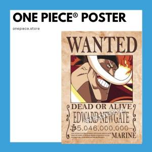 Affiches One Piece